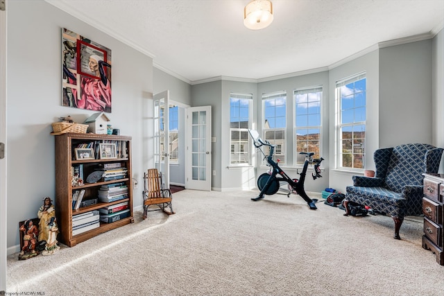 sitting room with french doors, ornamental molding, carpet floors, and a textured ceiling