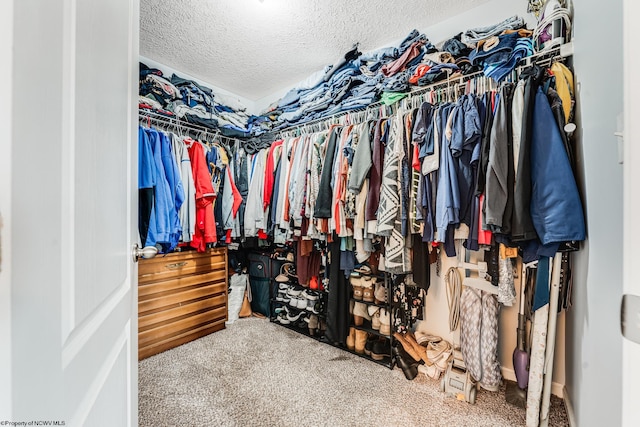 spacious closet featuring carpet flooring