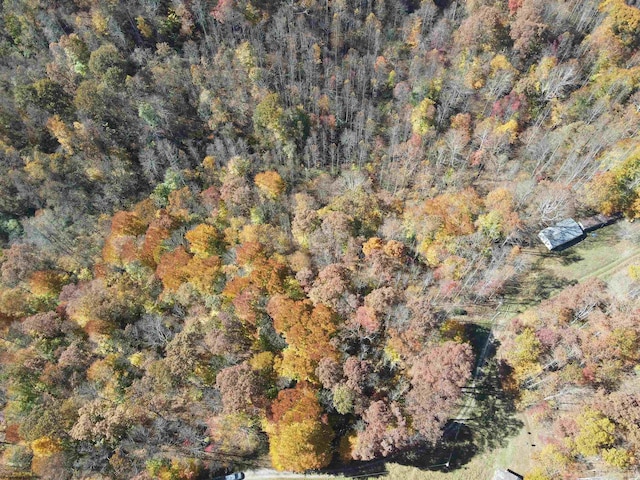 TBD Wilt Hollow Rd, Weston WV, 26452 land for sale