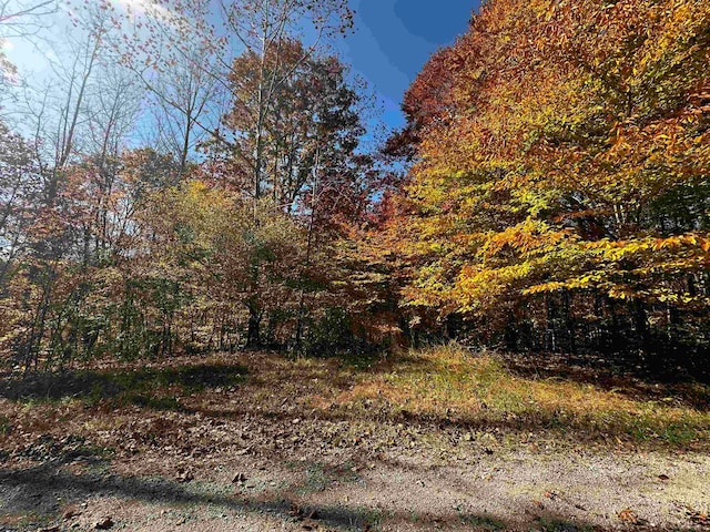 Listing photo 3 for TBD Wilt Hollow Rd, Weston WV 26452