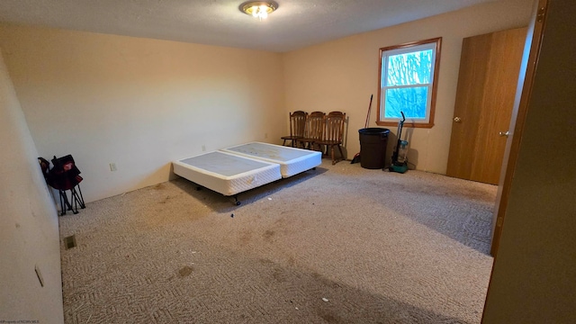 bedroom with carpet flooring