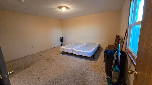 bedroom with carpet flooring and a textured ceiling