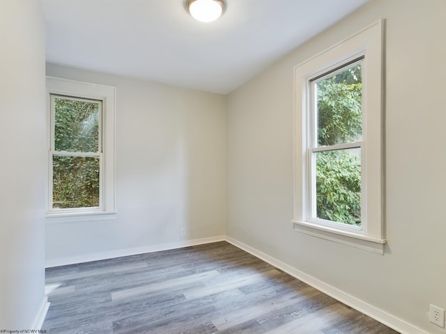 spare room featuring a wealth of natural light and hardwood / wood-style flooring