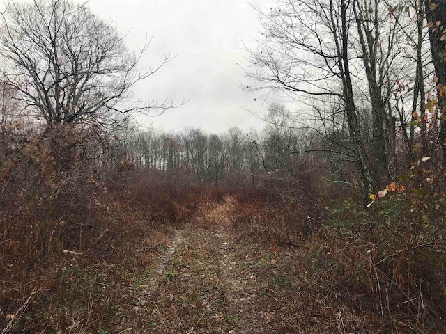 TBD Camp Ground Rd, Tunnelton WV, 26444 land for sale