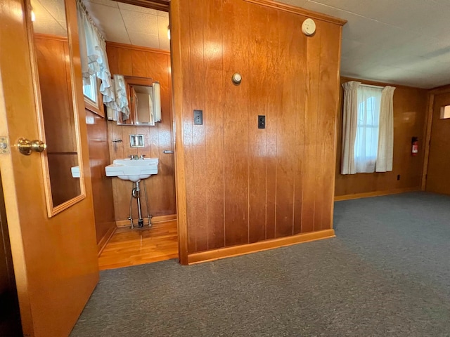 hallway with carpet flooring, wood walls, and sink