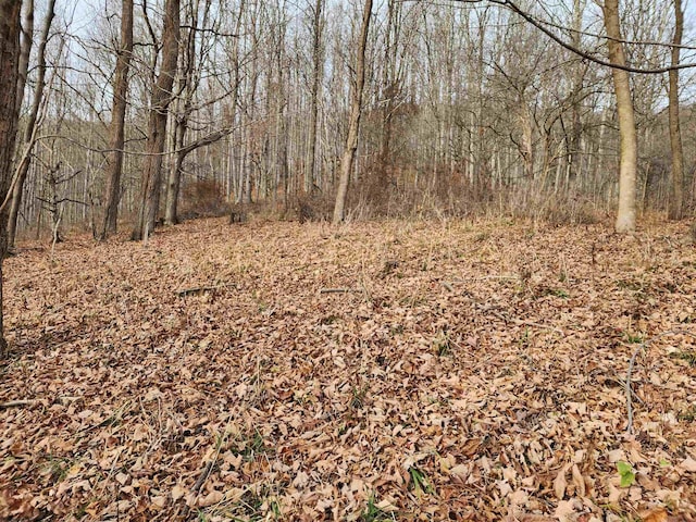 LOT4 High Mountain Rd, Harman WV, 26270 land for sale