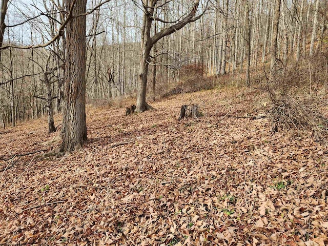 Listing photo 2 for LOT4 High Mountain Rd, Harman WV 26270