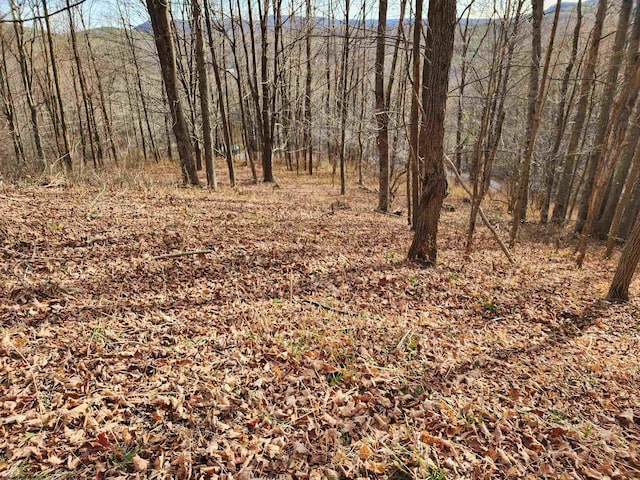 Listing photo 3 for LOT4 High Mountain Rd, Harman WV 26270