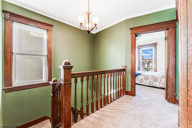 corridor with carpet flooring, crown molding, and a chandelier