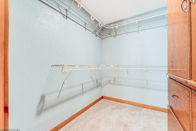 spacious closet with carpet flooring