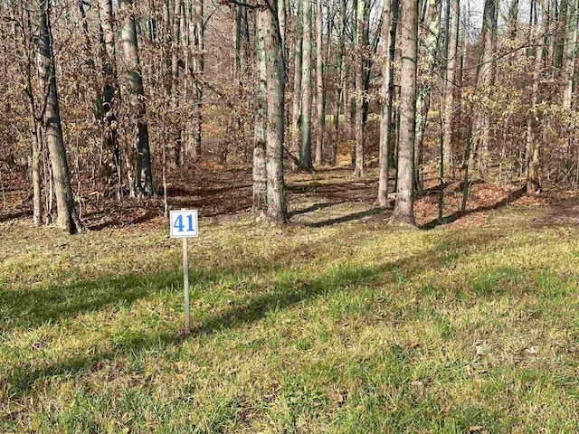 LOT41 Winterset Dr, Davis WV, 26260 land for sale