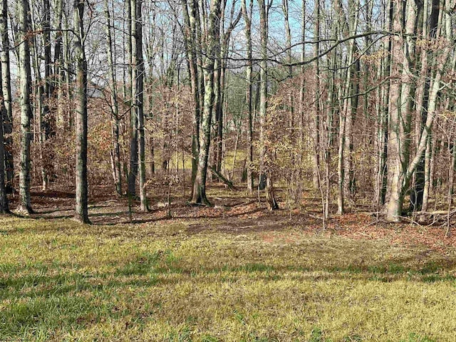 Listing photo 2 for LOT41 Winterset Dr, Davis WV 26260