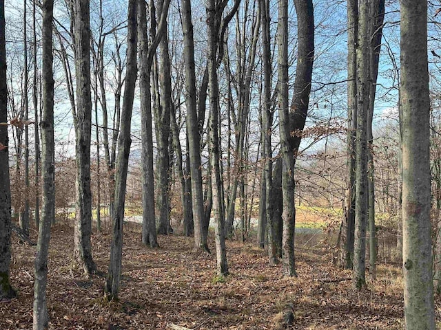 Listing photo 3 for LOT41 Winterset Dr, Davis WV 26260