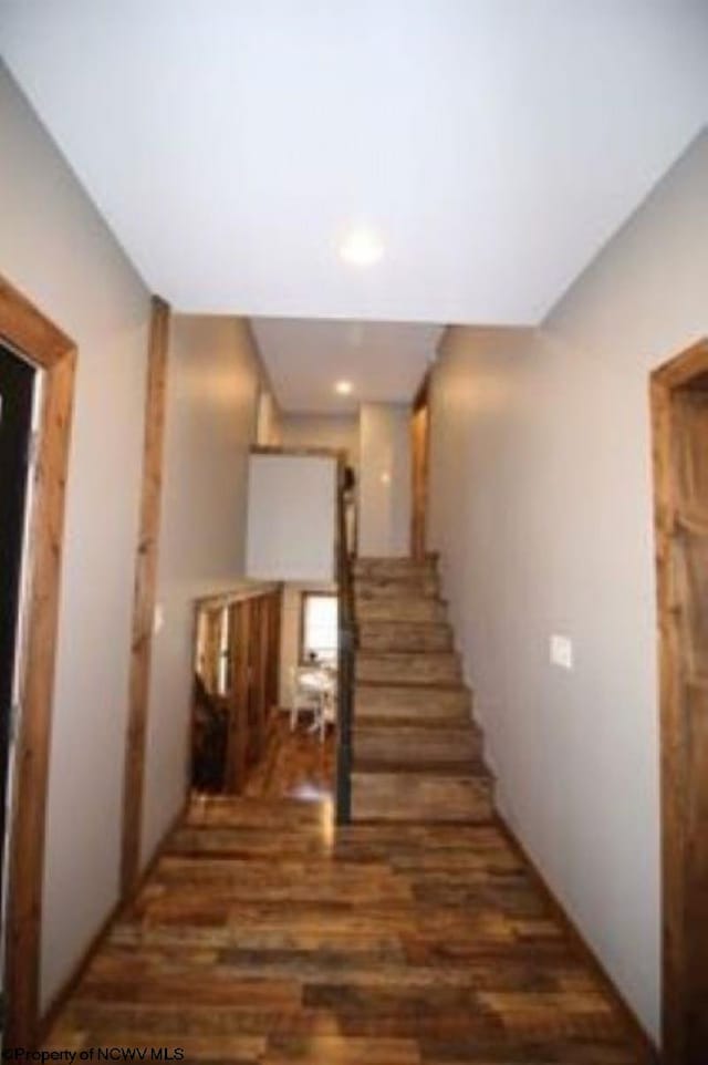 hall featuring dark hardwood / wood-style floors