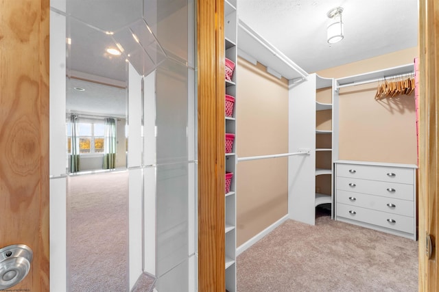 spacious closet featuring light colored carpet