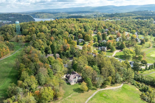 aerial view featuring a water and mountain view