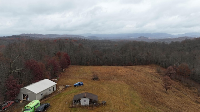 bird's eye view