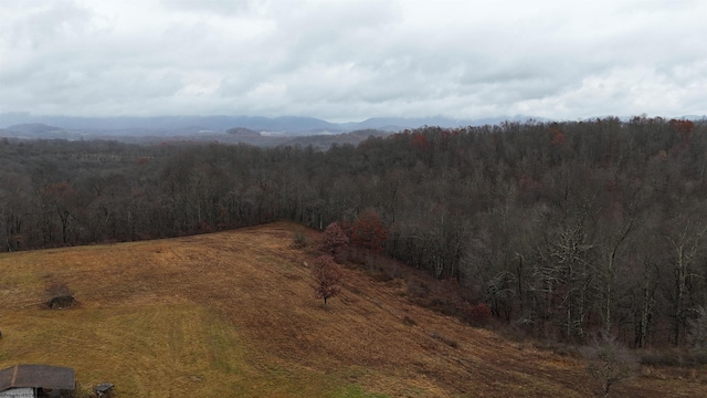 bird's eye view featuring a mountain view