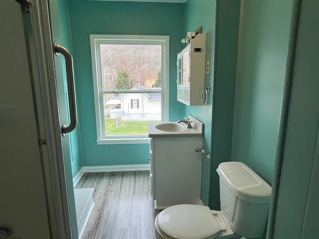 bathroom with hardwood / wood-style floors, vanity, and toilet