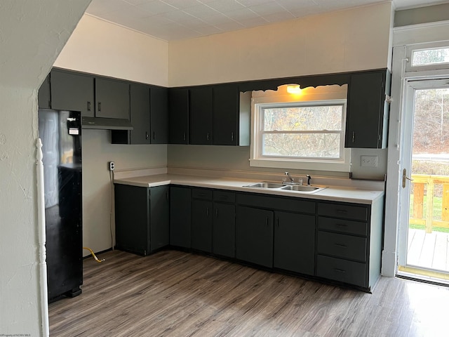 kitchen with black refrigerator, light hardwood / wood-style flooring, and sink