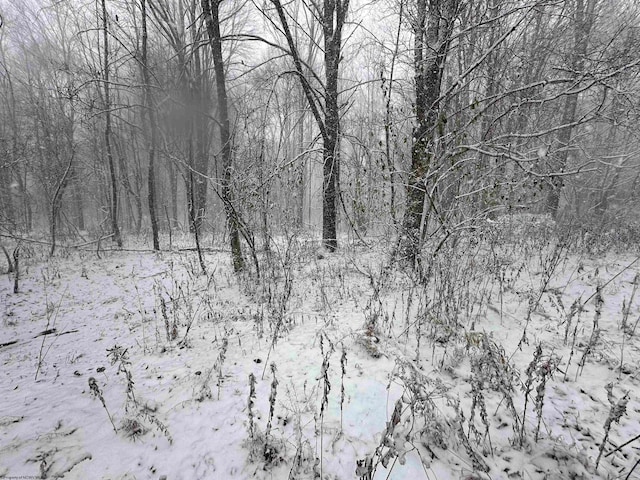 Listing photo 2 for LOT8 Bobolink Dr, Terra Alta WV 26764