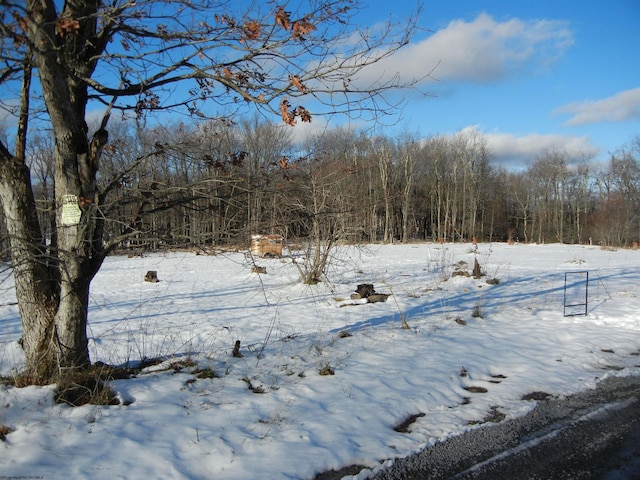 00 Sand Springs Rd, Morgantown, WV 26508