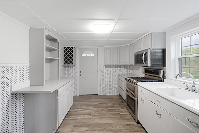 kitchen featuring light wood-type flooring, sink, and appliances with stainless steel finishes