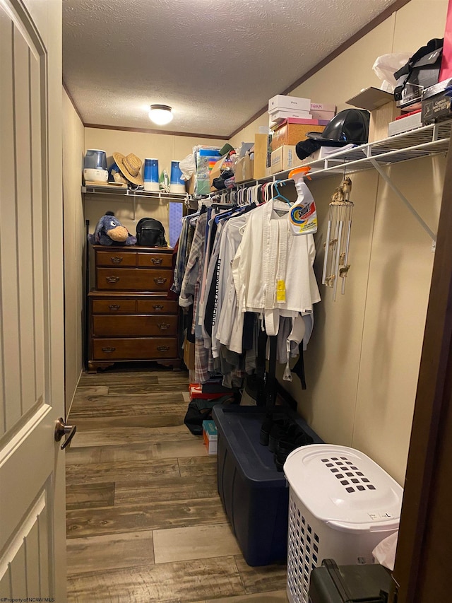 walk in closet featuring dark hardwood / wood-style flooring