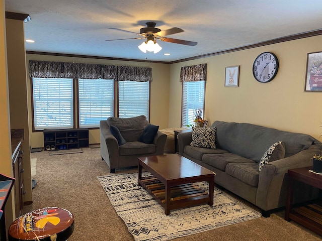 living room featuring ceiling fan, crown molding, carpet, and a textured ceiling