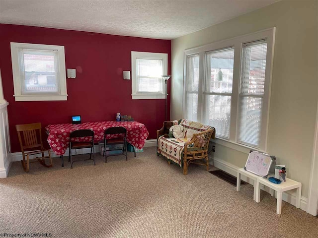 sitting room featuring carpet and a textured ceiling