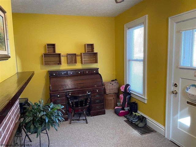 miscellaneous room with carpet floors and a textured ceiling