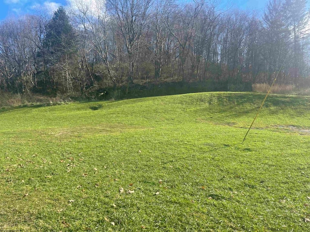 Listing photo 3 for 0 Clarksburg Rd, Buckhannon WV 26201