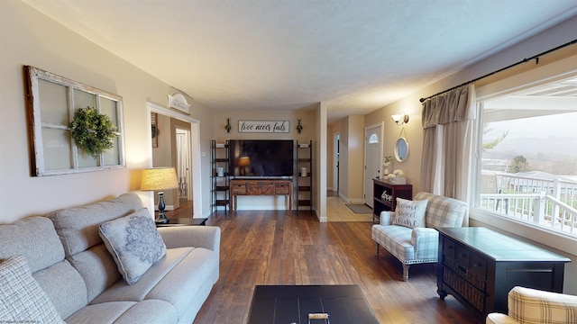 living room with dark wood-type flooring