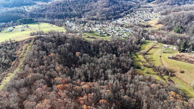 0 Washington St, Fairview WV, 26570 land for sale