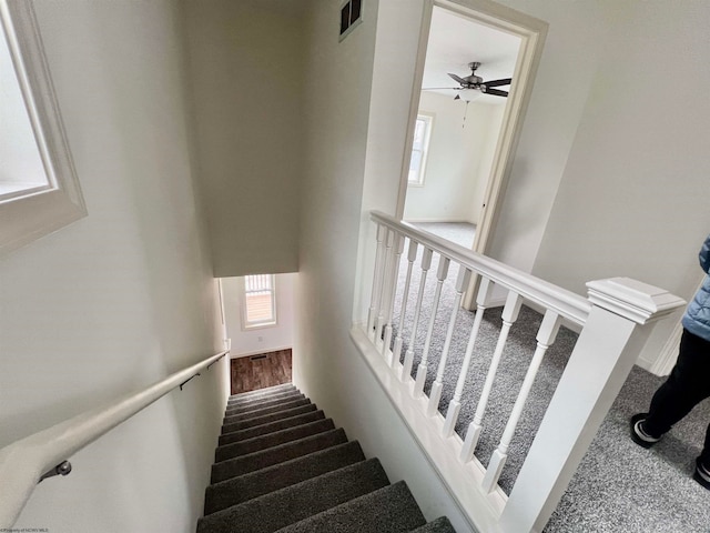 stairway with carpet flooring and ceiling fan