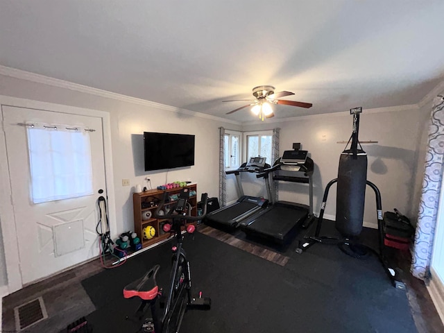 workout room with ceiling fan and ornamental molding