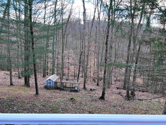 exterior space with a storage shed