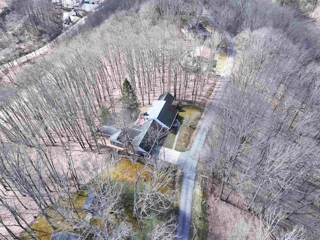 drone / aerial view