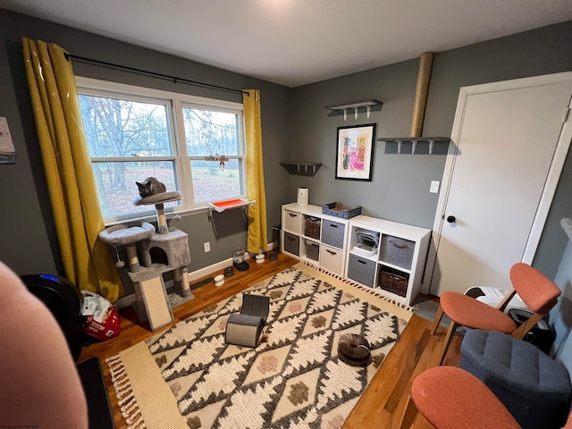 recreation room featuring hardwood / wood-style floors