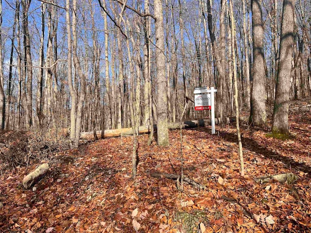 TBD Beech St, Belington WV, 26283 land for sale