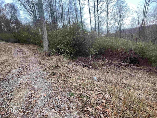 TBA Lifes Run Rd, Jane Lew WV, 26378 land for sale