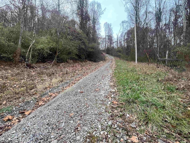 Listing photo 2 for TBA Lifes Run Rd, Jane Lew WV 26378