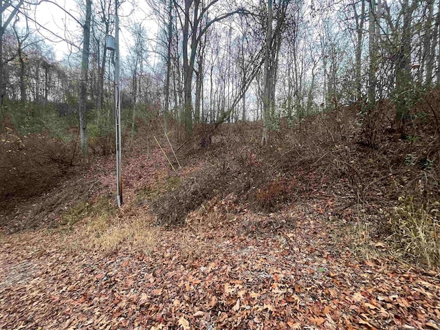 Listing photo 3 for TBA Lifes Run Rd, Jane Lew WV 26378