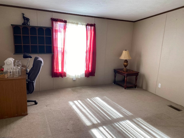 unfurnished office with light colored carpet, a textured ceiling, and ornamental molding