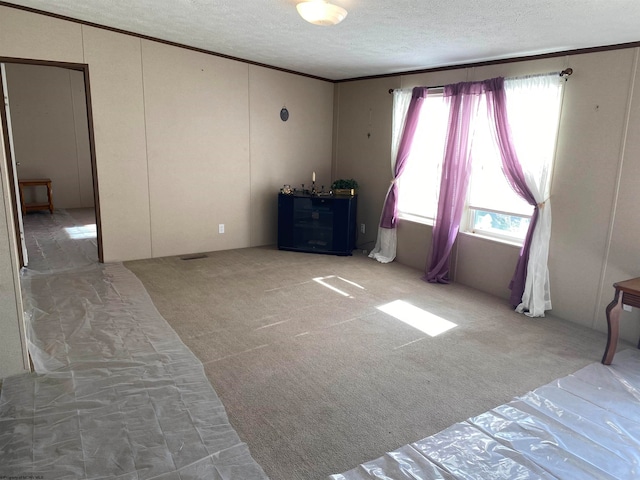 empty room featuring crown molding, carpet, and a textured ceiling