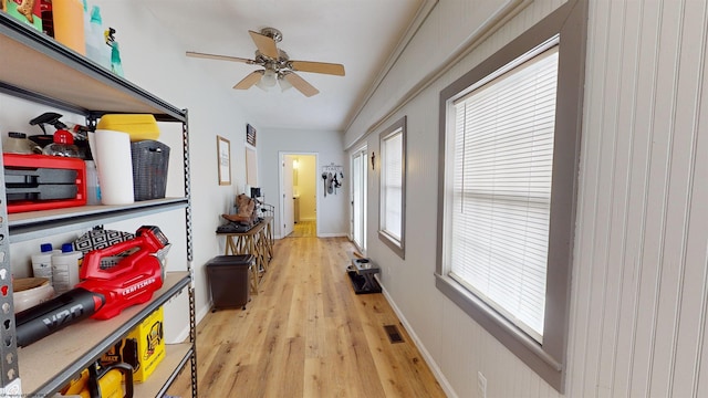 hallway featuring a healthy amount of sunlight and light hardwood / wood-style flooring