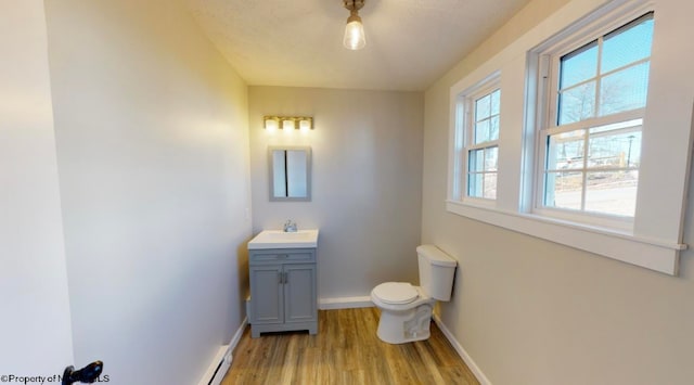 bathroom featuring hardwood / wood-style flooring, vanity, and toilet