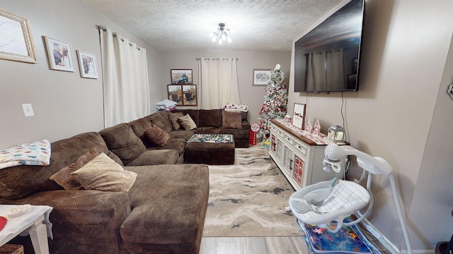 living room featuring a textured ceiling and hardwood / wood-style flooring