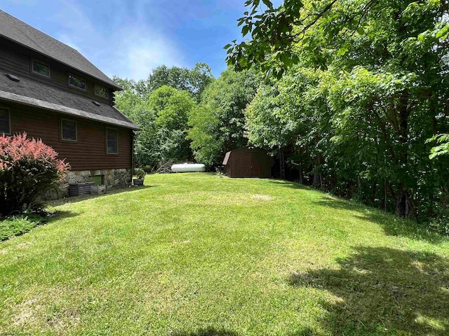 view of yard featuring a storage unit