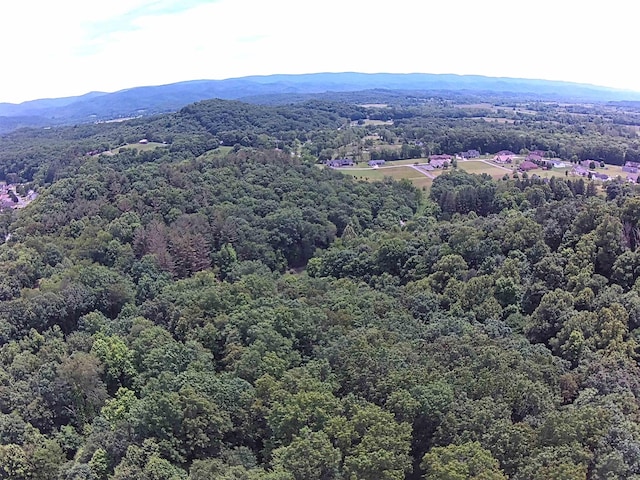 aerial view with a mountain view